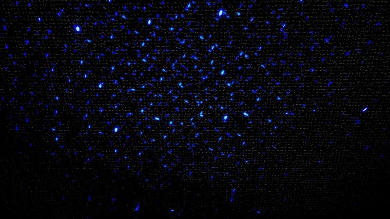 吸う★すたのプラネタリウム