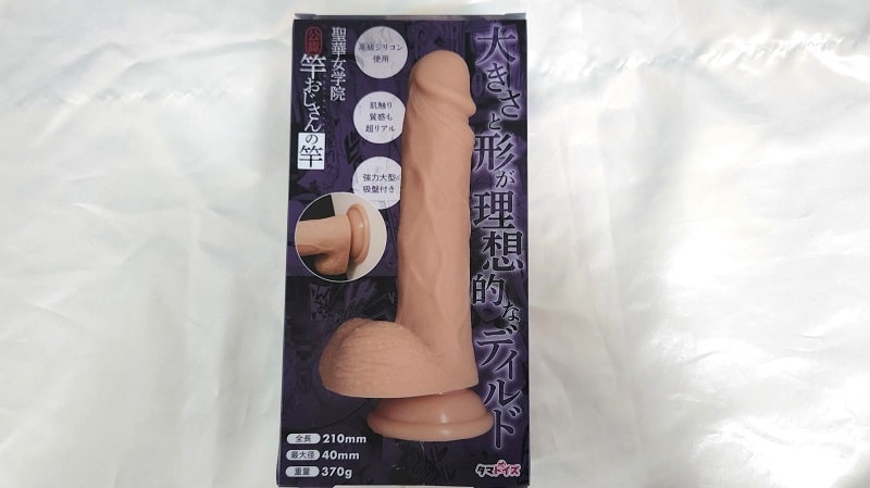 聖華女学院公認竿おじさんの竿